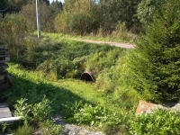 Так выглядела канава до проведения работ Так выглядела канава до проведения работ